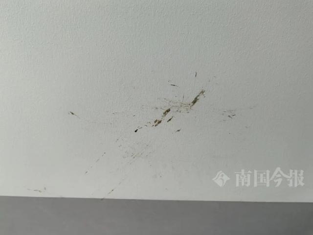 ！业主崩溃：全屋都是无法接受爱游戏app