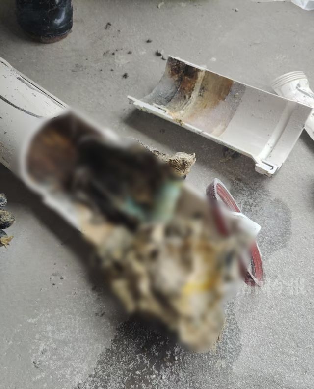 ！业主崩溃：全屋都是无法接受爱游戏app婚房被粪水浸泡(图3)