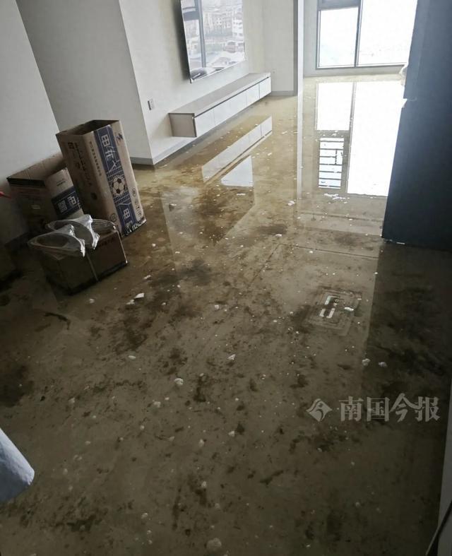！业主崩溃：全屋都是无法接受爱游戏app婚房被粪水浸泡(图5)