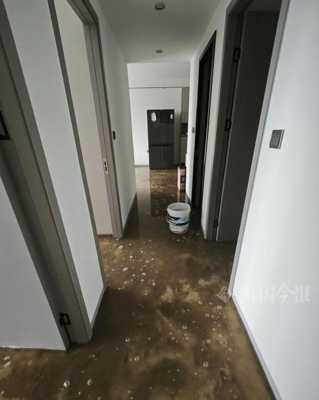 ！业主崩溃：全屋都是无法接受爱游戏app婚房被粪水浸泡(图4)