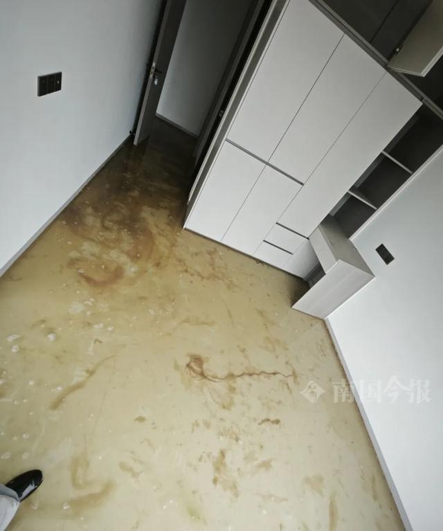 ！业主崩溃：全屋都是无法接受爱游戏app婚房被粪水浸泡(图10)