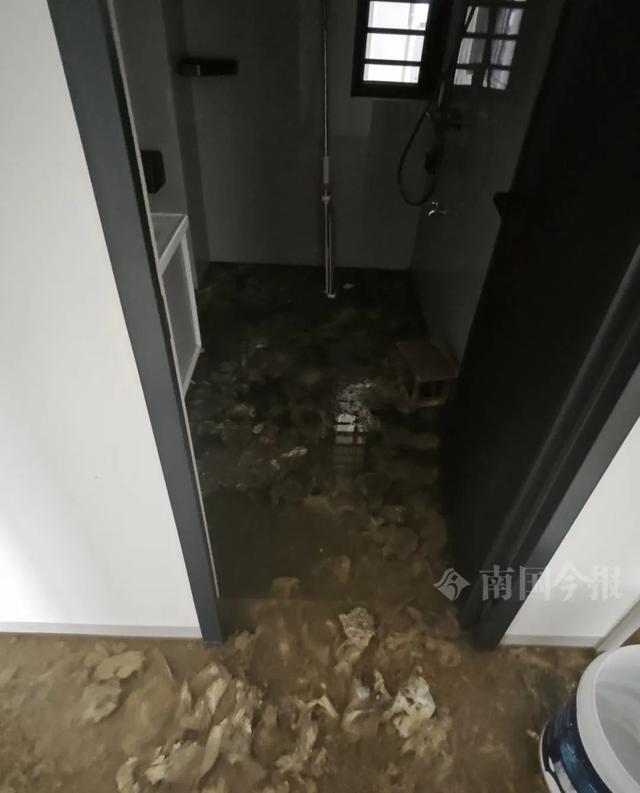 ！业主崩溃：全屋都是无法接受爱游戏app婚房被粪水浸泡(图11)